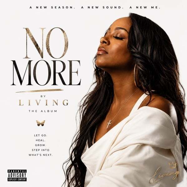 Cover art for No More